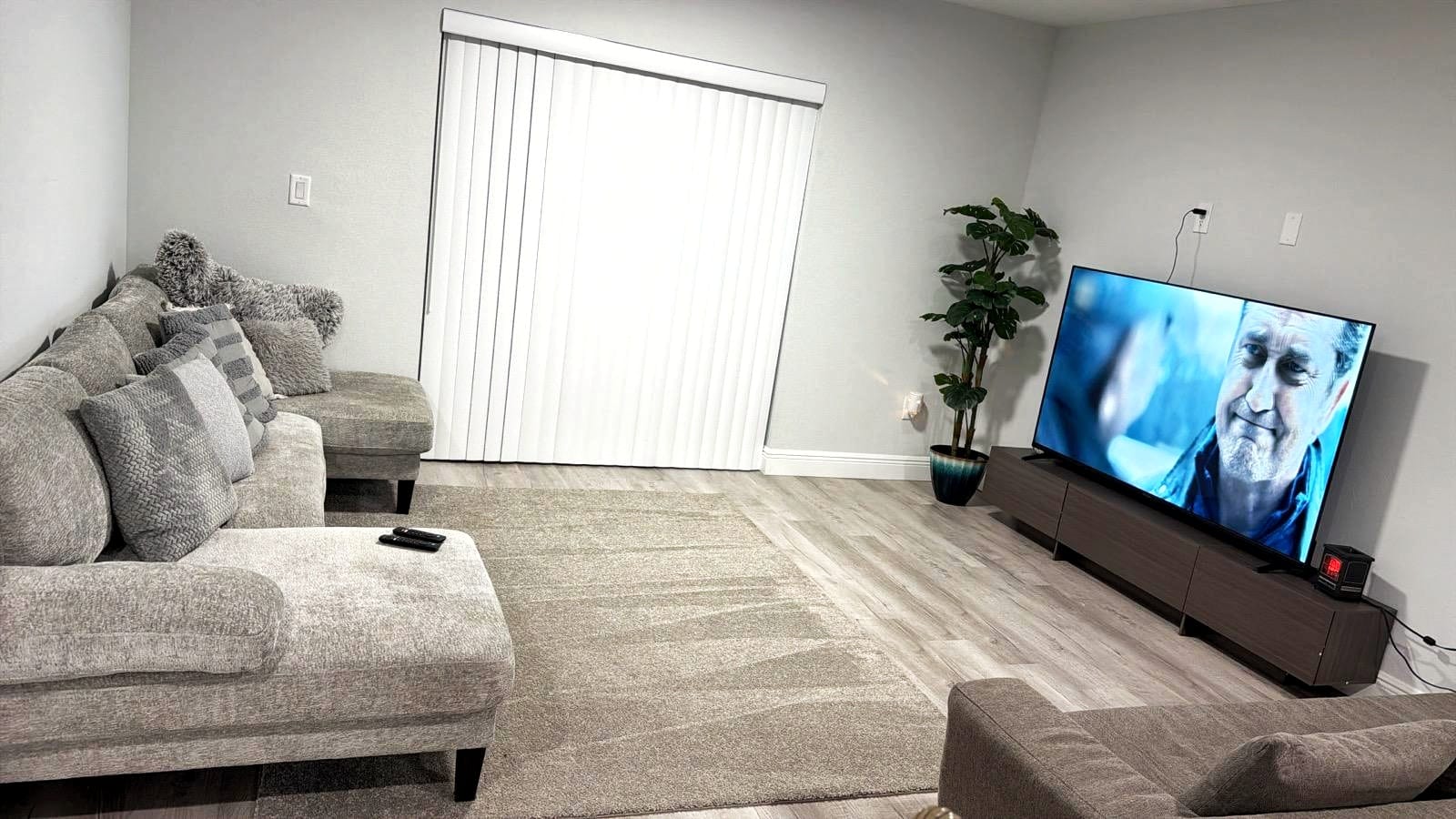 Living Room after cleaning by AVN